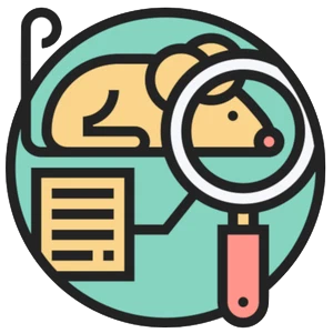 Designed by Eucalyp from www.flaticon.com