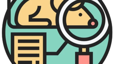 Dental fluorosis in rats featured image