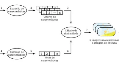 Descritores de forma baseados em tensor scale featured image