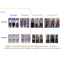 Vision through distortions: Atmospheric Turbulence-and Clothing-invariant long-range recognition